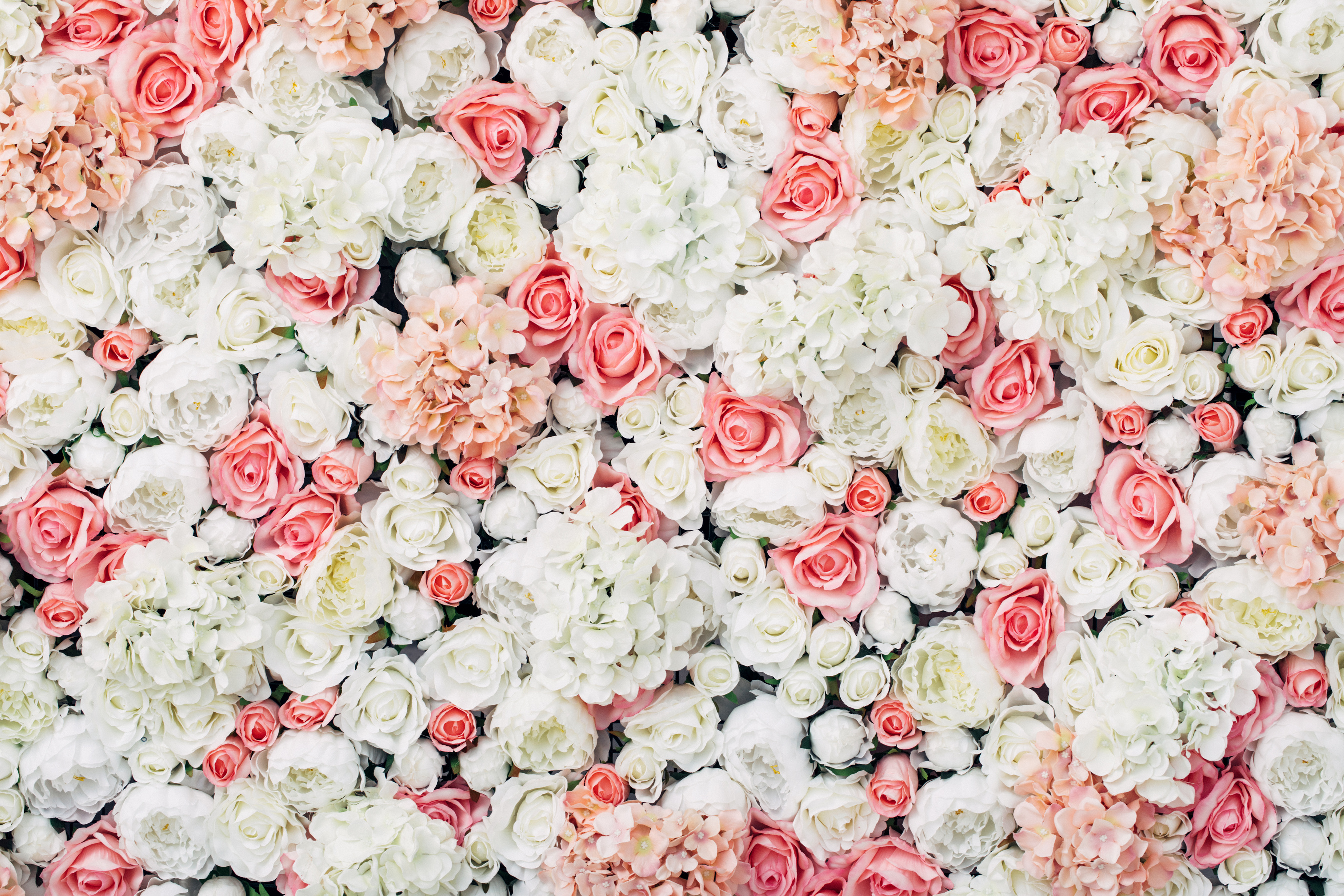 Photo of floral wall